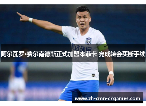 阿尔瓦罗·费尔南德斯正式加盟本菲卡 完成转会买断手续 阿尔瓦罗·费尔南德斯正式加盟本菲卡 完成转会买断手续
